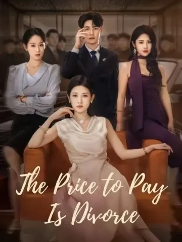 The Price to Pay Is Divorce封面图